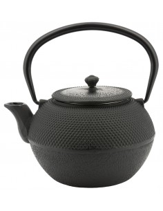 Cast Iron Teapot with Filter