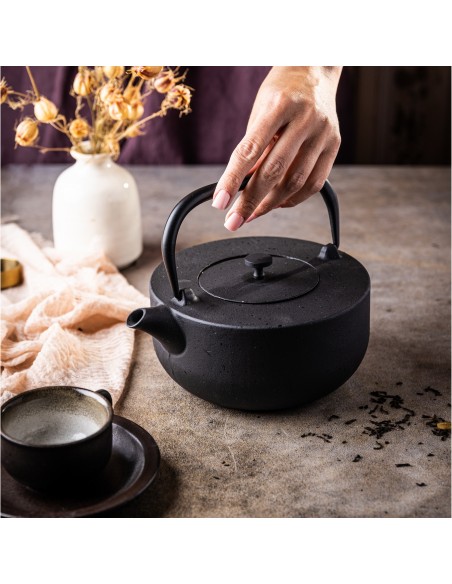 Cast iron filter tea pot,...