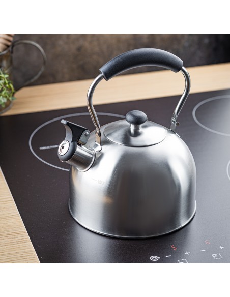 Kettle with whistle, 2.5L,...