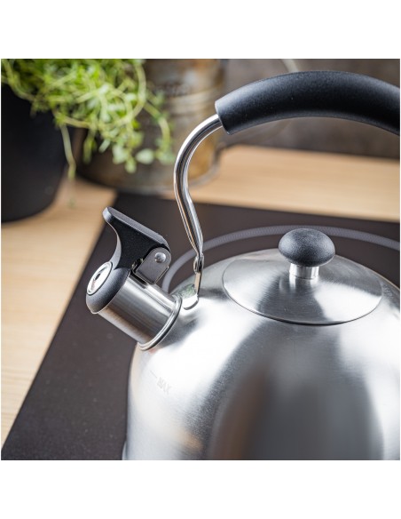 Kettle with whistle, 2.5L,...