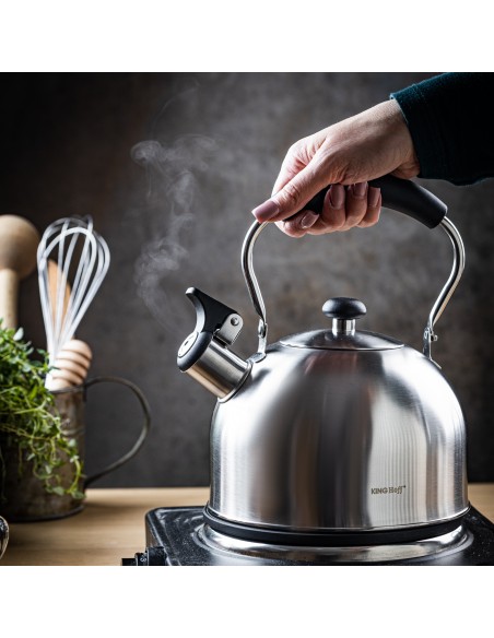 Kettle with whistle, 2.5L,...