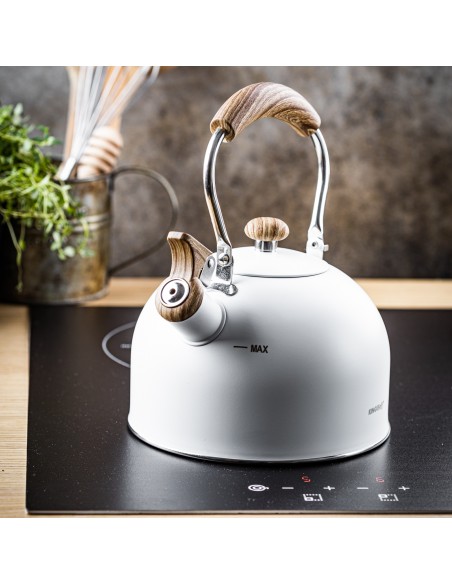 Kettle with whistle, 2.5L,...