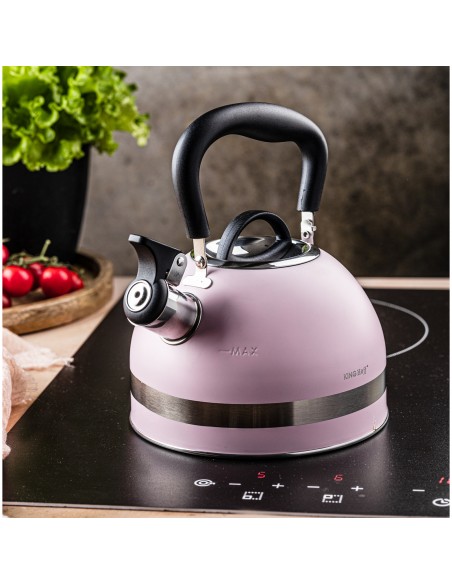 Kettle with whistle, 1.8L,...